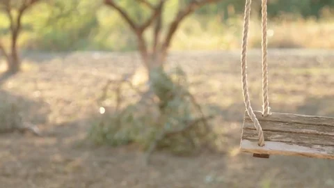Swing at sunset in autumn Stock Footage 81348377