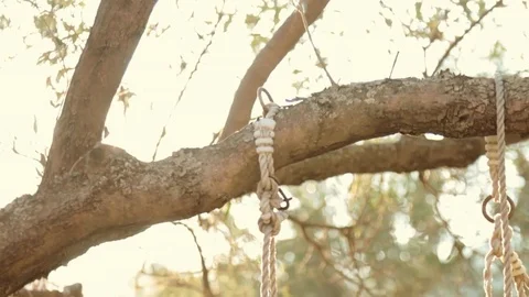 Swing at sunset in autumn Stock Footage 81348387