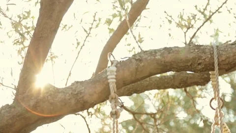 Swing at sunset in autumn Stock Footage 81348428