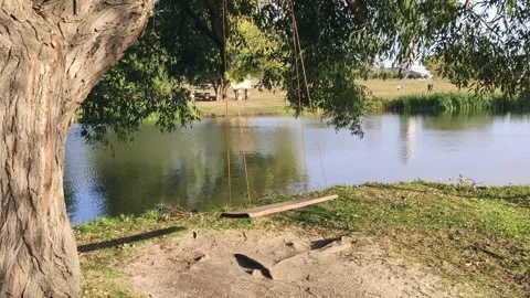 Swing In Sunset Fall.  Playing In The Summer On. Near calm lake and big tree. Stock Footage 143246604