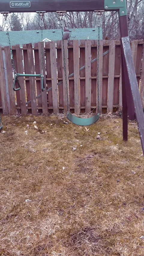 Swing swing swing Stock Footage 279521750