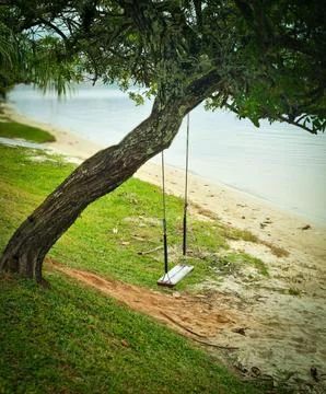 Swing tied to a tree trunk, on the edge of a calm beach, surrounded by green Stock Photos