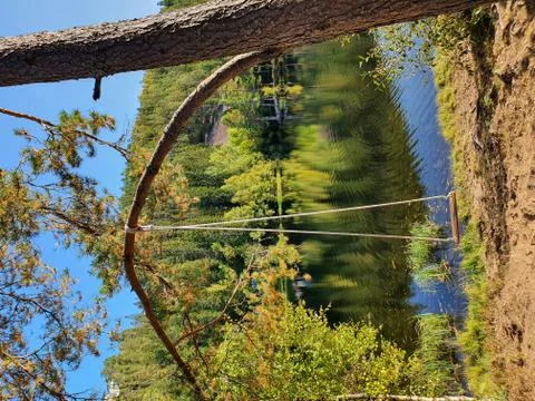 Swing on a tree against the background of blue water - Oslo, Strømsdammen lake Stock Photos