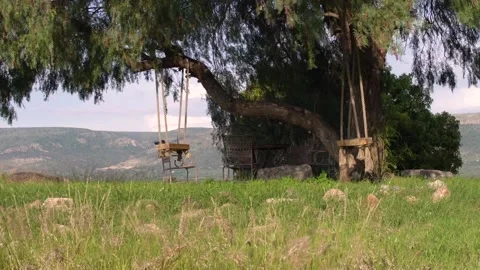 Swing on a tree in the countryside Stock Footage 191287616