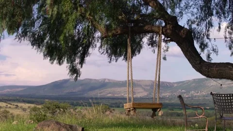 Swing on a tree in the countryside Stock Footage 191287827