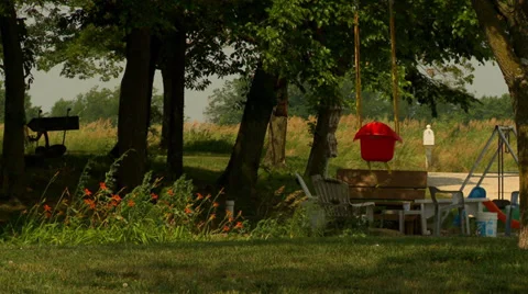 Swing in tree on farm1 Stock Footage 35488817