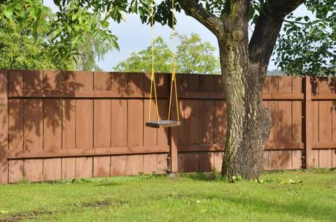 Swing on the tree in the garden 스톡 사진