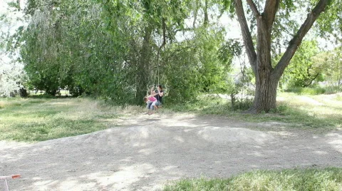 Swing from a tree HD Stock Footage 741616