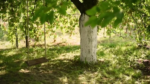 Swing under cherry tree on a sunny summer windy day Stock-Footage 75902676
