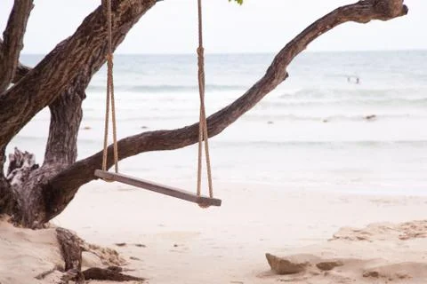Swing under a tree. Stock Photos