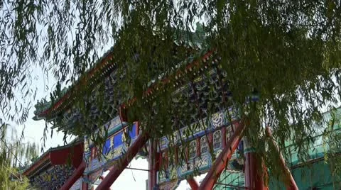 Swing willow &amp; orient ancient Memorial arch in beijing china. 库存影片 21887949