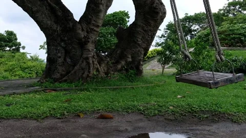 The swing that is wound on the tree. Video stock 134631066