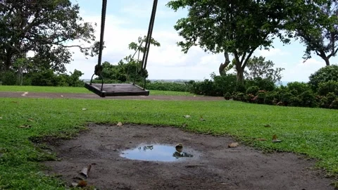 The swing that is wound on the tree. Video stock 134631075