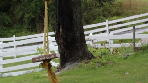 Swing_001 Stock Footage 8550846