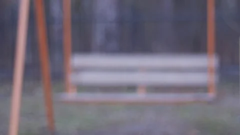 Swinging empty swing in the forest Stock Footage 74065654