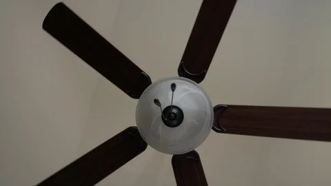 Swinging fan 库存影片 125900338