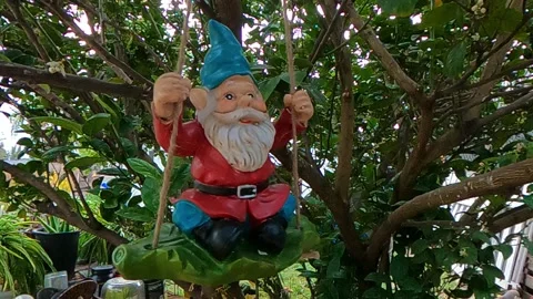 Swinging Gnome Video stock 152793037