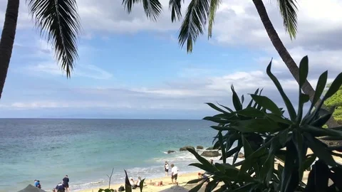 Swinging on a hammock, tropical resort setting Stock Footage 72792258