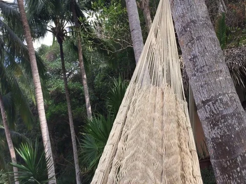 Swinging on a hammock, tropical setting HD Stock-Footage 72792398