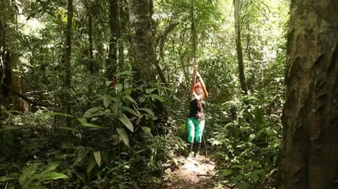 Swinging On Liane In Rainforest Video stock 10737849