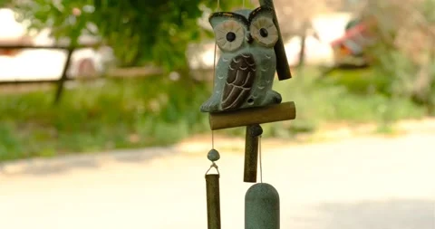 Swinging Owl 스톡 동영상 172447452