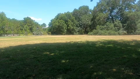 Swinging at a park beach Stock Footage 156133536