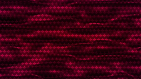 Swinging red fabric with a royal pattern. Background with canvas animation. Stock Footage 148538672