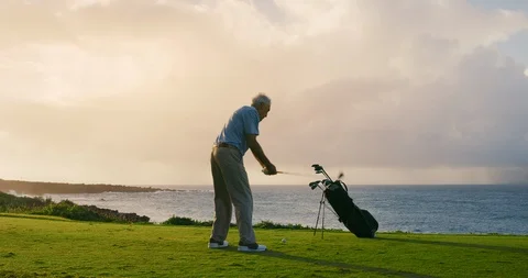 Swinging into the sunset Stock Footage 102409879