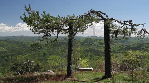 Swinging swing on top of a hill tied on a pine tree. A time to relax and enjoy Stock Footage 59366259