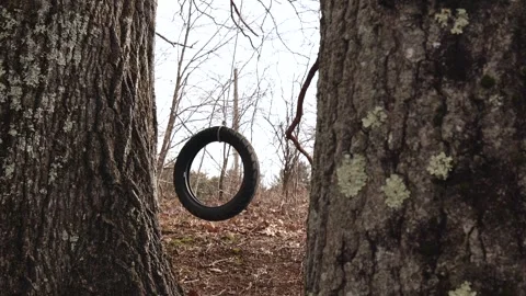 Swinging tire between trees Stock Footage 270095538