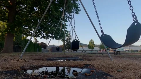 Swings at Page Park Stock Footage 139554857