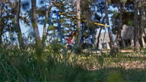 Swings in the park 動画素材 238520496
