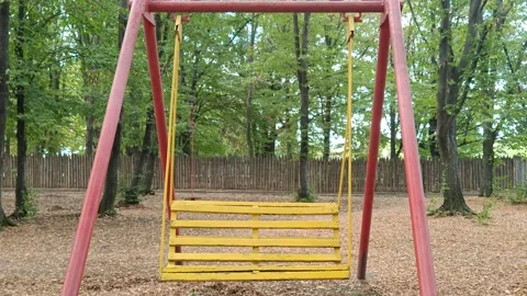 Swings in the park Stock Footage 317578784