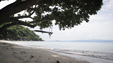 Swings tied to a tree on the beach on the background of calm waves. Stock Footage 98764301