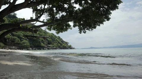 Swings tied to a tree on the beach on the background of calm waves. Stock Footage 98764832