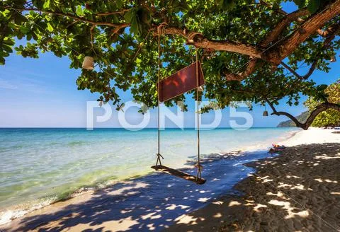 Swings at tropical beach. Stock-Fotos