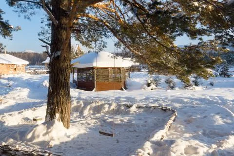 Swings under a pine tree Stock Photos