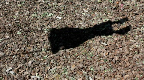 Swingset shadow 01 Stock Footage 707034