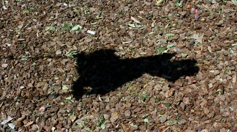 Swingset shadow 03 Stock Footage 707039