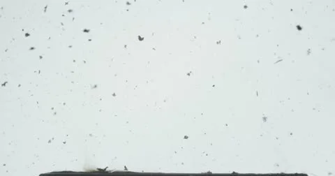 Swirl 4K Stock Footage 21843209