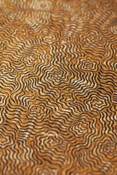 Swirl background Stock Photos