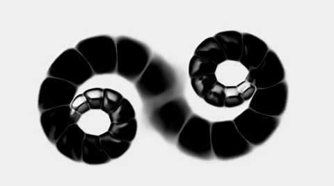 Swirl chain,snake &amp; nematode,invertebrates. Vídeo Stock 26129352