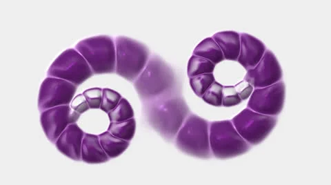 Swirl chain,snake &amp; nematode,invertebrates. Vídeo Stock 26129575