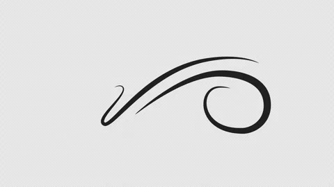 Swirl doodle Stock Footage 330867947