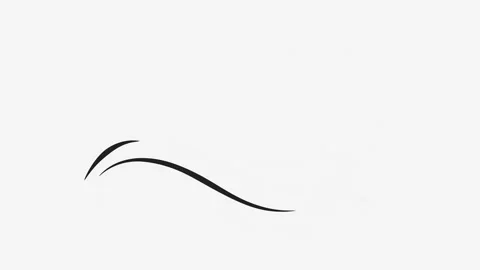 Swirl doodle Stock Footage 336244775