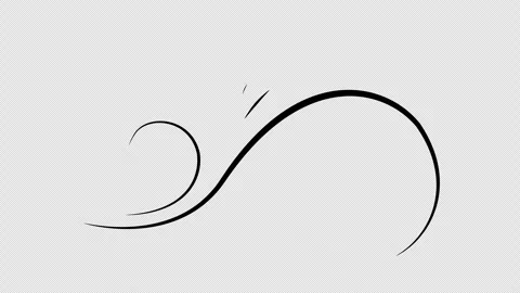 Swirl doodle Stock Footage 336244783