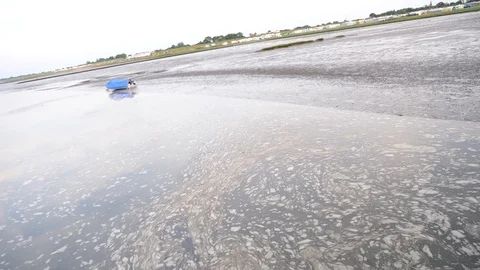 Swirl 動画素材 113330483