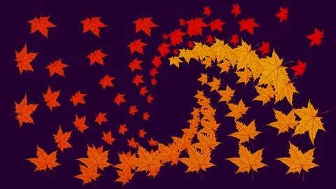 Swirl geometric pattern of colorful Fallen yellow orange red maple leaves 스톡 일러스트