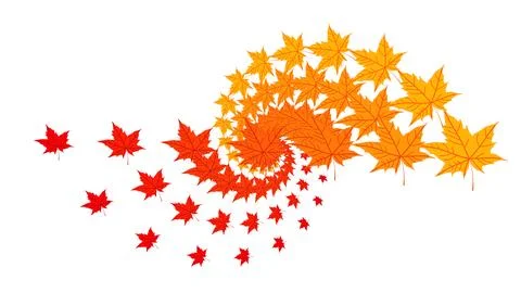 Swirl geometric pattern of colorful fallen yellow orange red maple leaves 스톡 일러스트
