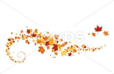 Swirl of maple leaves Stock Illustration